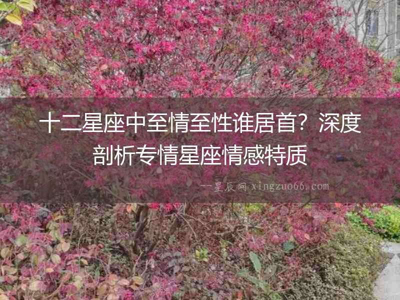 十二星座中至情至性誰居首？深度剖析專情星座情感特質(zhì)